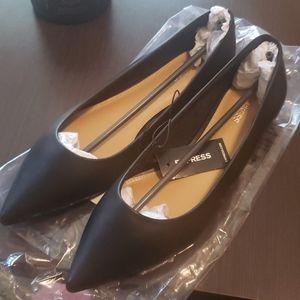 Express Pointy Toe Flats